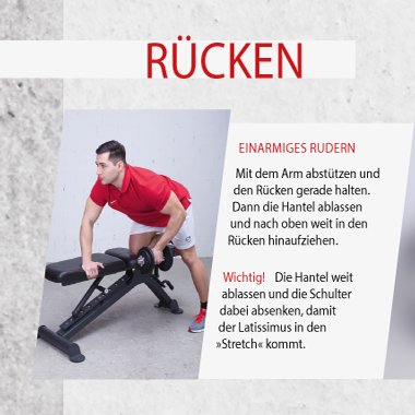 ᐅᐅ Training Mit Kurzhanteln 30 Ubungen Fur Zuhause